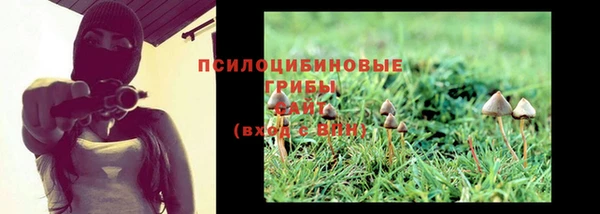 спиды Армянск