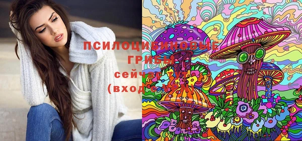 синтетический гашиш Арсеньев