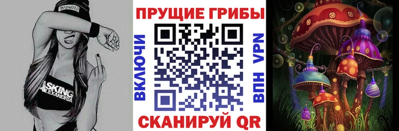 Псилоцибиновые грибы Cubensis  Сибай 